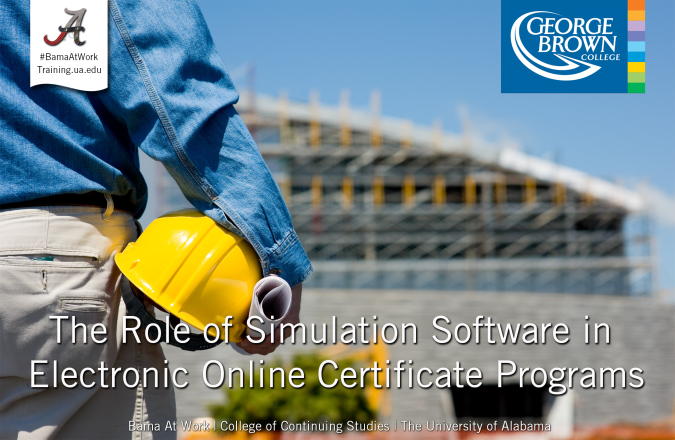 The Role of Simulation Software in Electronic Online Certificate programs